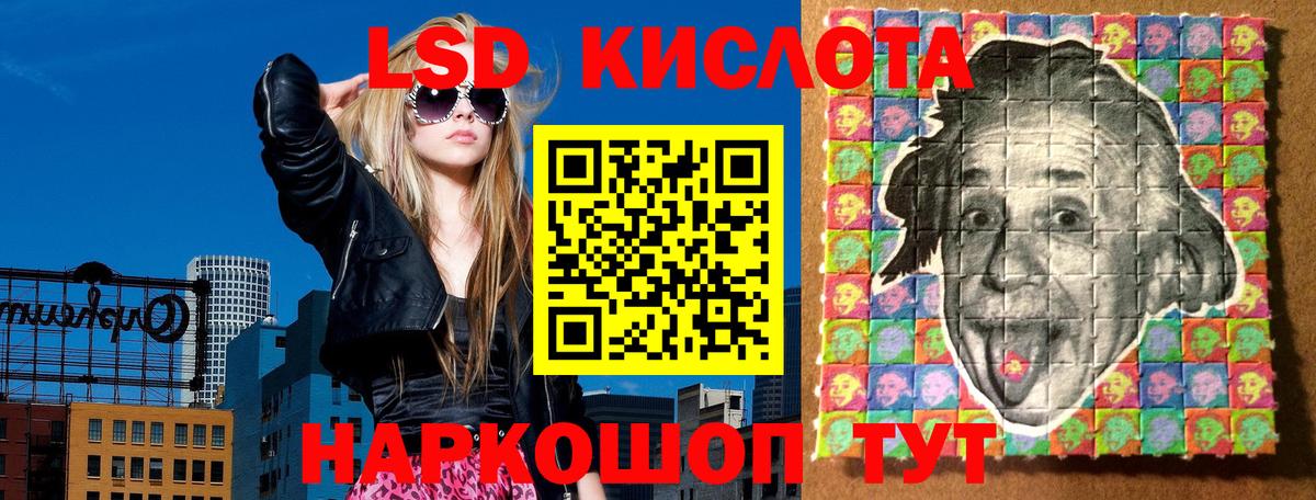 Галлюциногенные грибы Новороссийск