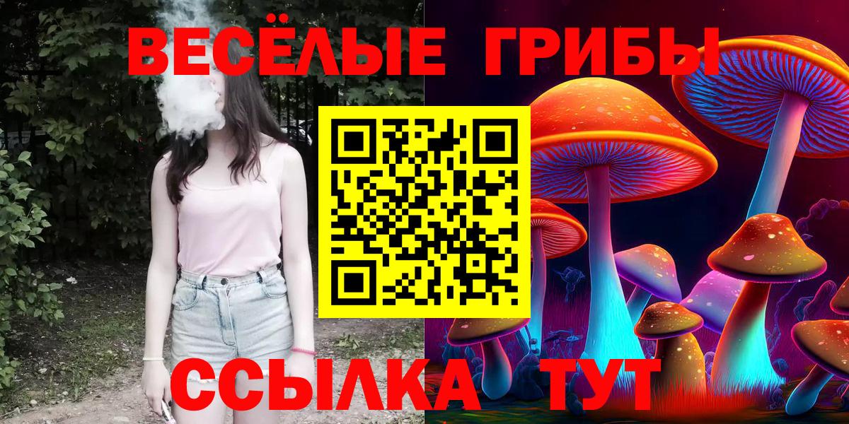 Псилоцибиновые грибы мицелий Новороссийск