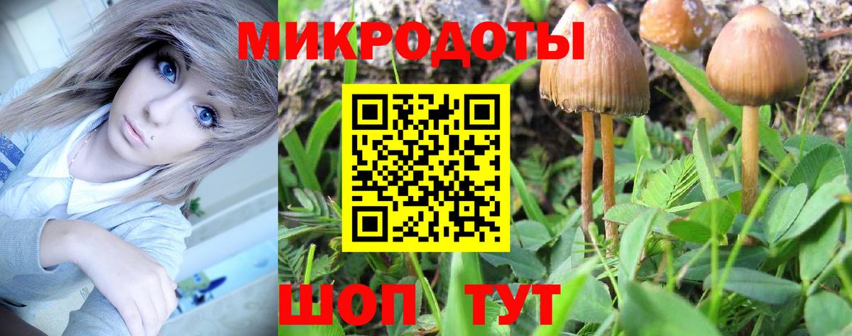 Псилоцибиновые грибы Magic Shrooms  Вход с VPN  Галлюциногенные грибы ЛСД  Новороссийск 