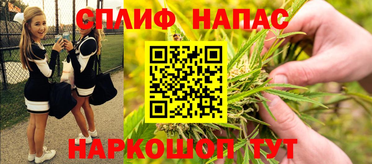Шишки марихуана VHQ  МАРИХУАНА ГИДРОПОН  МАРИХУАНА план  Вход с VPN  Новороссийск  Шишки марихуана Bruce Banner 